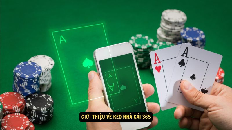 Kèo Nhà Cái 365: Chiến Lược Cá Cược Hiệu Quả 2 Giới thiệu về kèo nhà cái 365