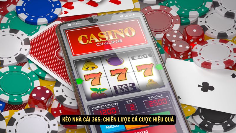 Kèo Nhà Cái 365: Chiến Lược Cá Cược Hiệu Quả 1 keo nha cai 365