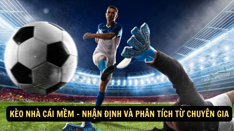Kèo nhà cái mềm - Nhận định và phân tích từ chuyên gia 1 keo nha cai mem