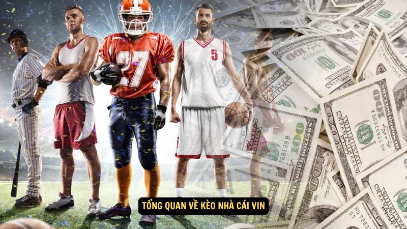 Kèo Nhà Cái Vin: Những Lựa Chọn Hấp Dẫn Cho Người Chơi 2 Tổng quan về kèo nhà cái Vin