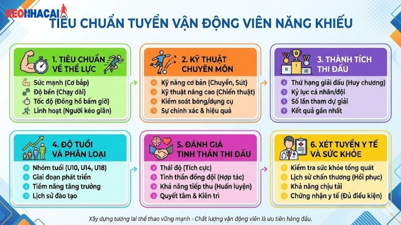 tieu-chuan-tuyen-van-dong-vien-nang-khieu tieu-chuan-tuyen-van-dong-vien-nang-khieu